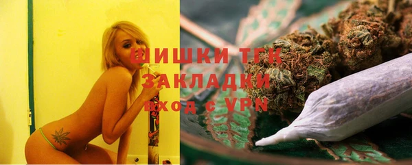 амф Заволжье